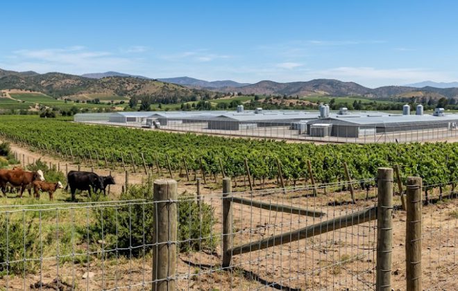 Instalación de cerco agrícola con malla Ursus y polines de madera en predio rural con viñedos y pabellones industriales al fondo